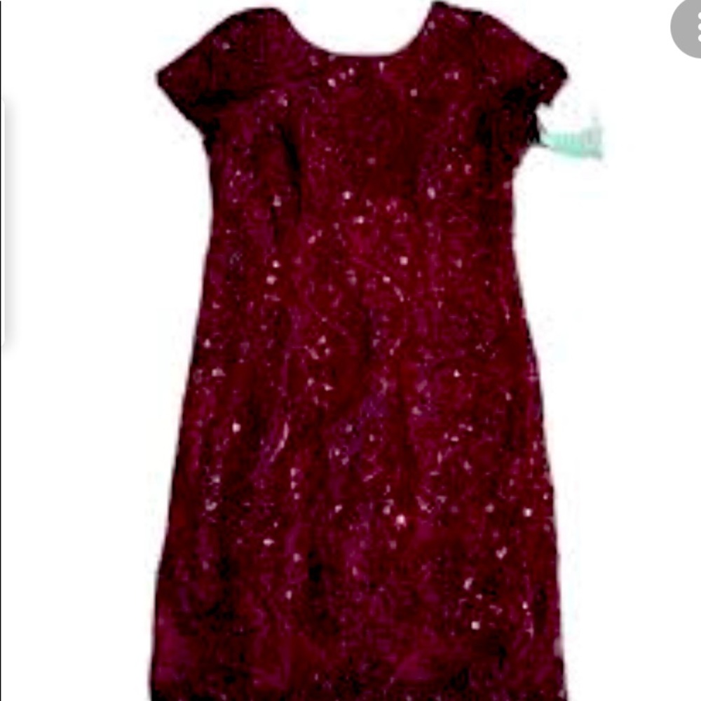 Sprarkly wine colored dress